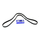 V-BELT - BRITPART - PQS500081